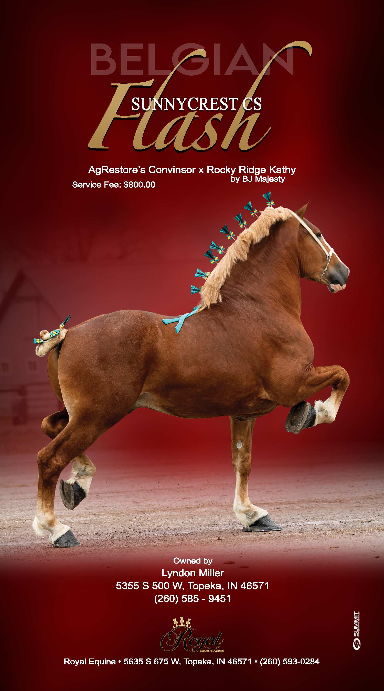 Indiana Belgian Draft Horse Association